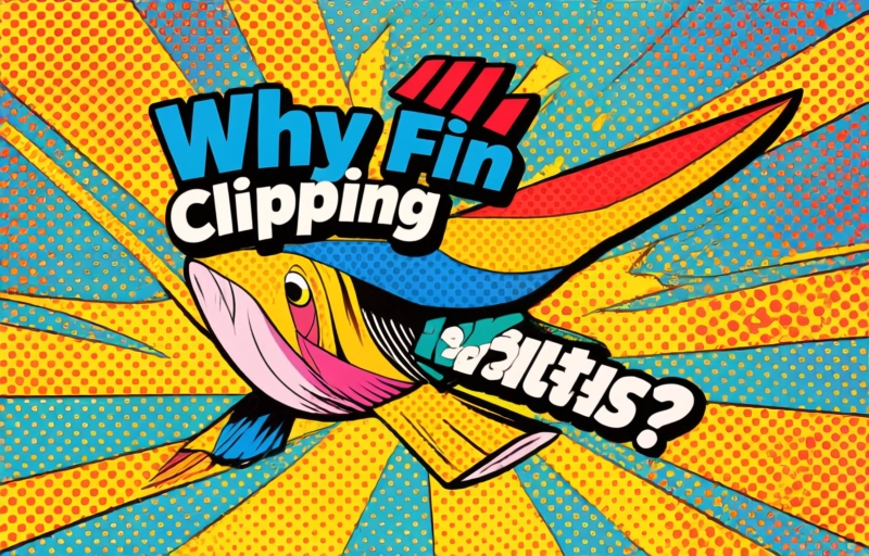 Visual representation of Tillamook Anglers Kick Off Annual Fin Clipping Event