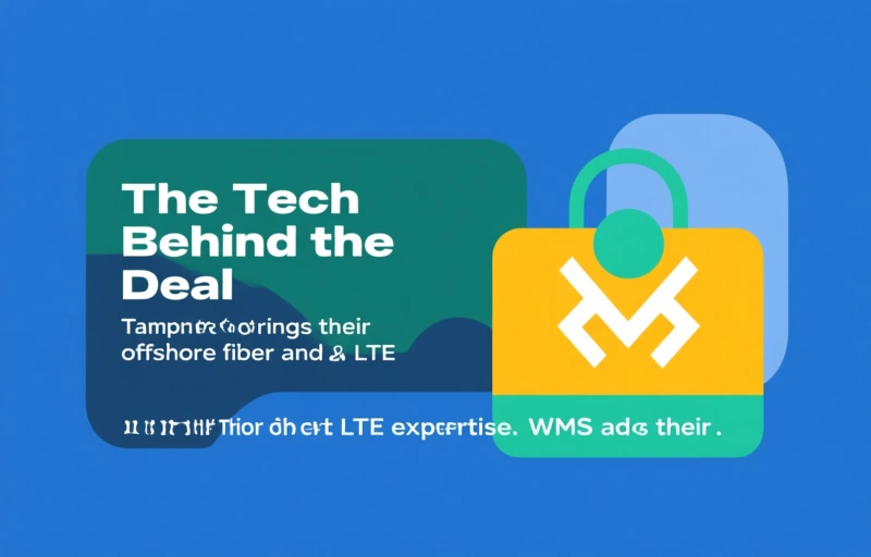 Visual representation of Tampnet and WMS Expand Wireless in Gulf of America