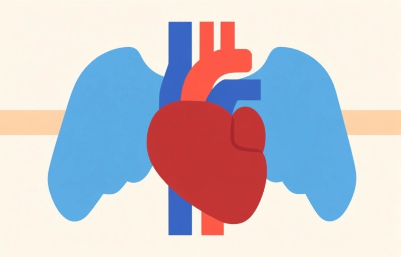 Visual representation of Tet & je hart