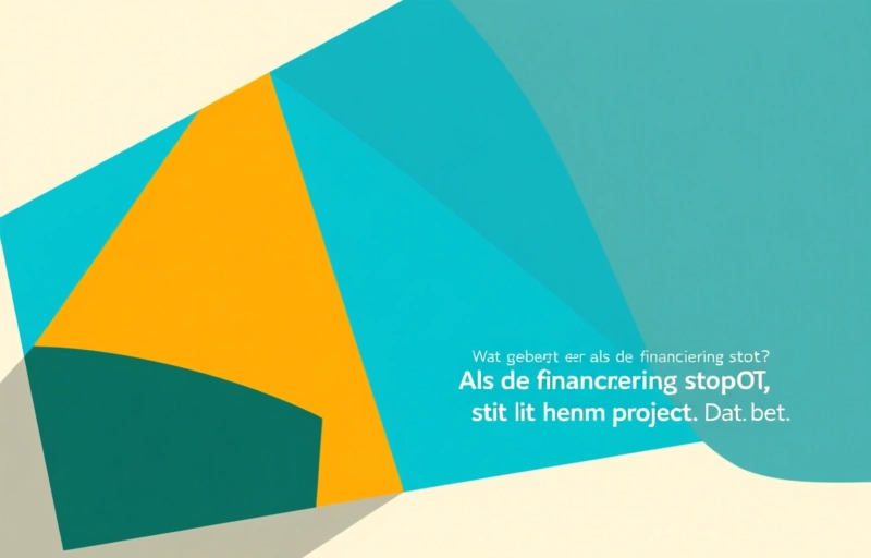 Visuele weergave van Structurele financiering voor Mentaal Gezond Zuid Limburg