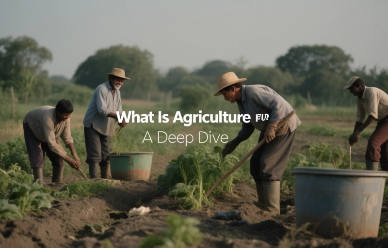 What Is Agriculture For? A Deep Dive
