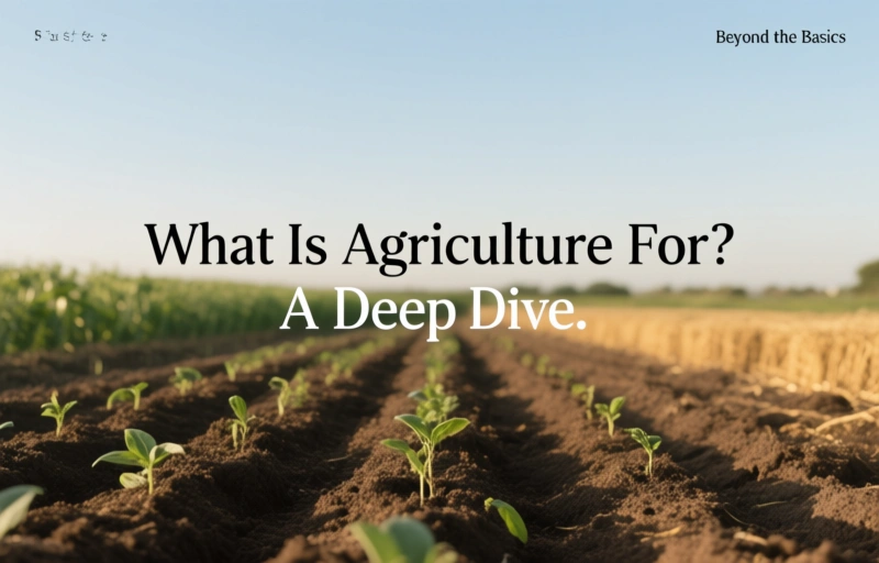 Visual representation of What Is Agriculture For? A Deep Dive