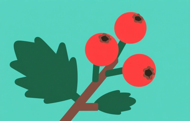 Visuele weergave van Bescherm je hart met dit plantje voor €0,10 per dag