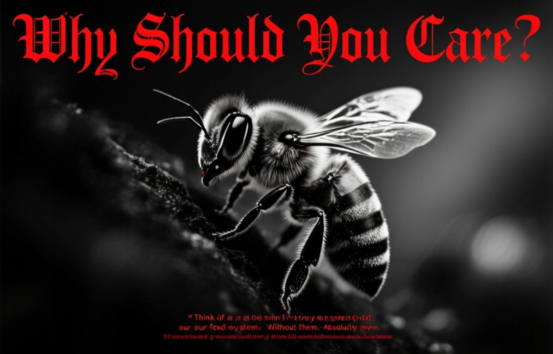 Visual representation of Save Bees