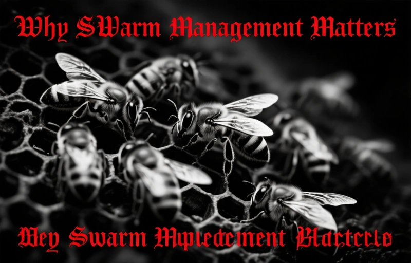 Visual representation of White House Bee Swarm