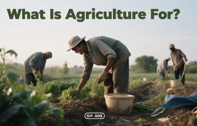 What Is Agriculture For? A Philosophical Look