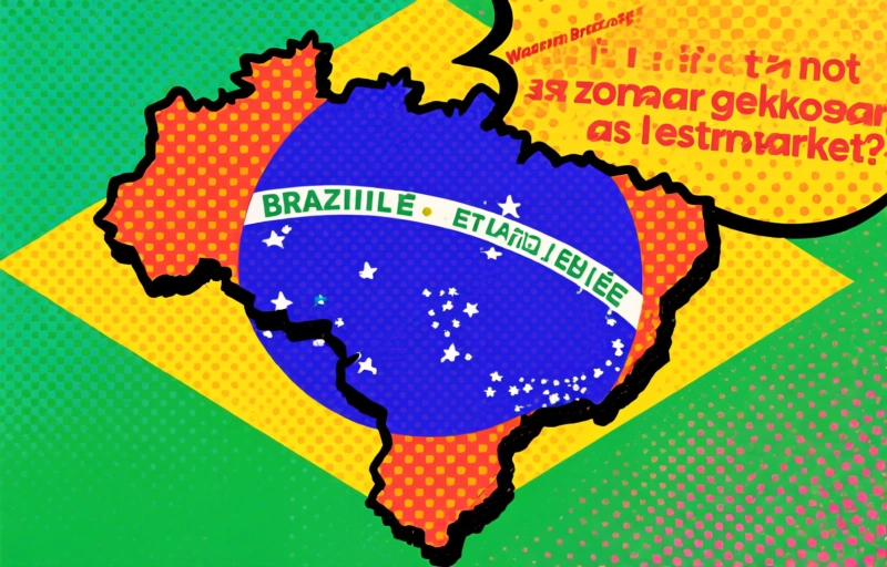 Visuele weergave van TikTok wil financiële diensten aanbieden in Brazilië