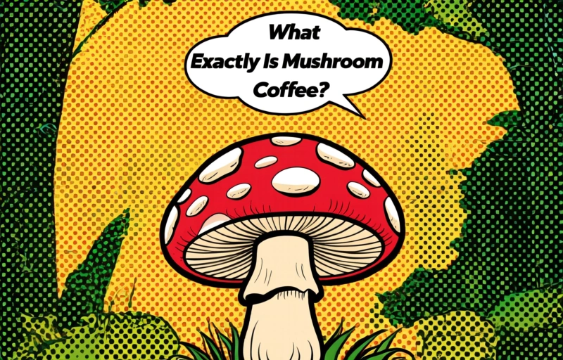 Visual representation of Top Mushroom Coffees 2026