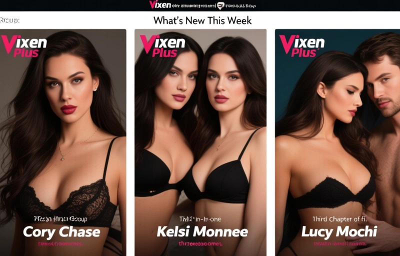 Visual representation of Vixen Plus Recap