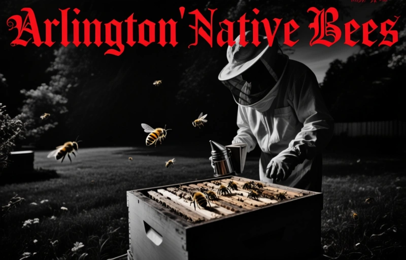 Meet Arlington's Native Bees: A Local Guide