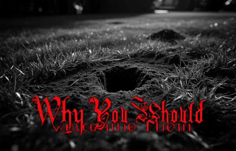 Visual representation of Tiny Lawn Holes? They're a Sign of a Healthy Ecosystem