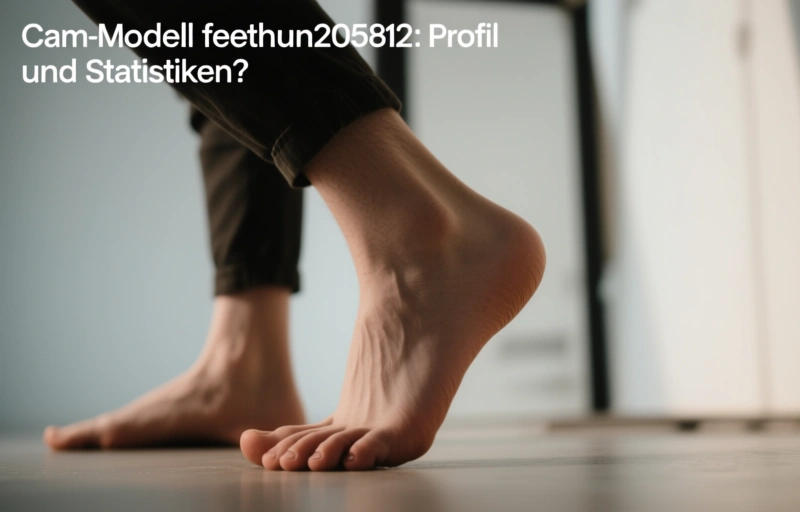 Visuelle Darstellung von Cam-Modell feethun205812