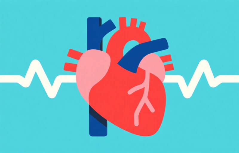 Visuele weergave van Nieuwe bestralingstechniek hartritmestoornissen