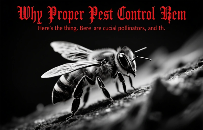 Visual representation of Massive Bee Removal at Smithsonian Gallery