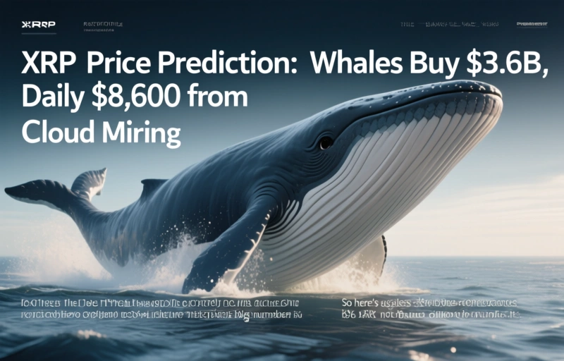 Visual representation of XRP Price Prediction