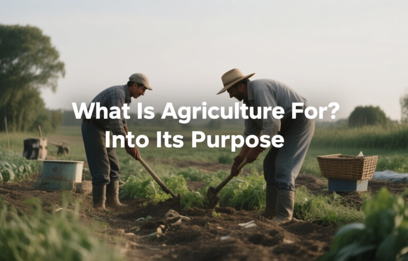What Is Agriculture For? A Deep Dive Into Its Purpose