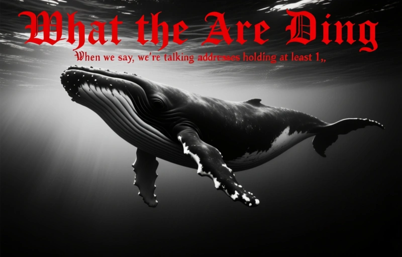 Visual representation of Bitcoin Whales Pile On 69% More BTC Despite ARK Bottom Warning